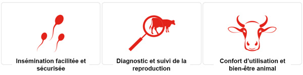 Avantages Avantages